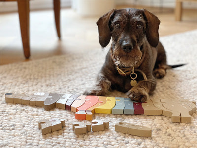 Ein brauner Hund liegt auf einem Teppich neben dem Buchstabenpuzzle Hund, einem bunten Dinosaurierpuzzle aus Holz, bei dem einige Teile fehlen.