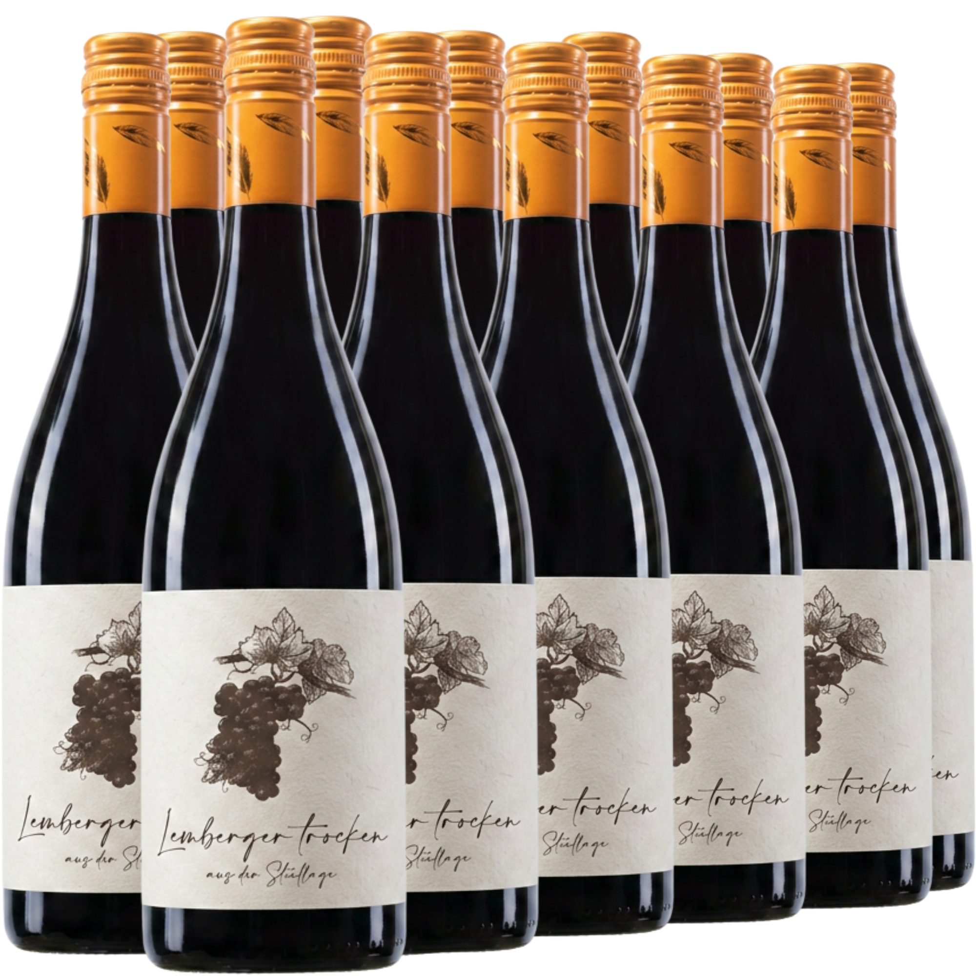 Zwölf Flaschen Lemberger trocken Rotwein mit orangefarbenen Verschlüssen sind in vier Reihen vor weißem Hintergrund angeordnet.