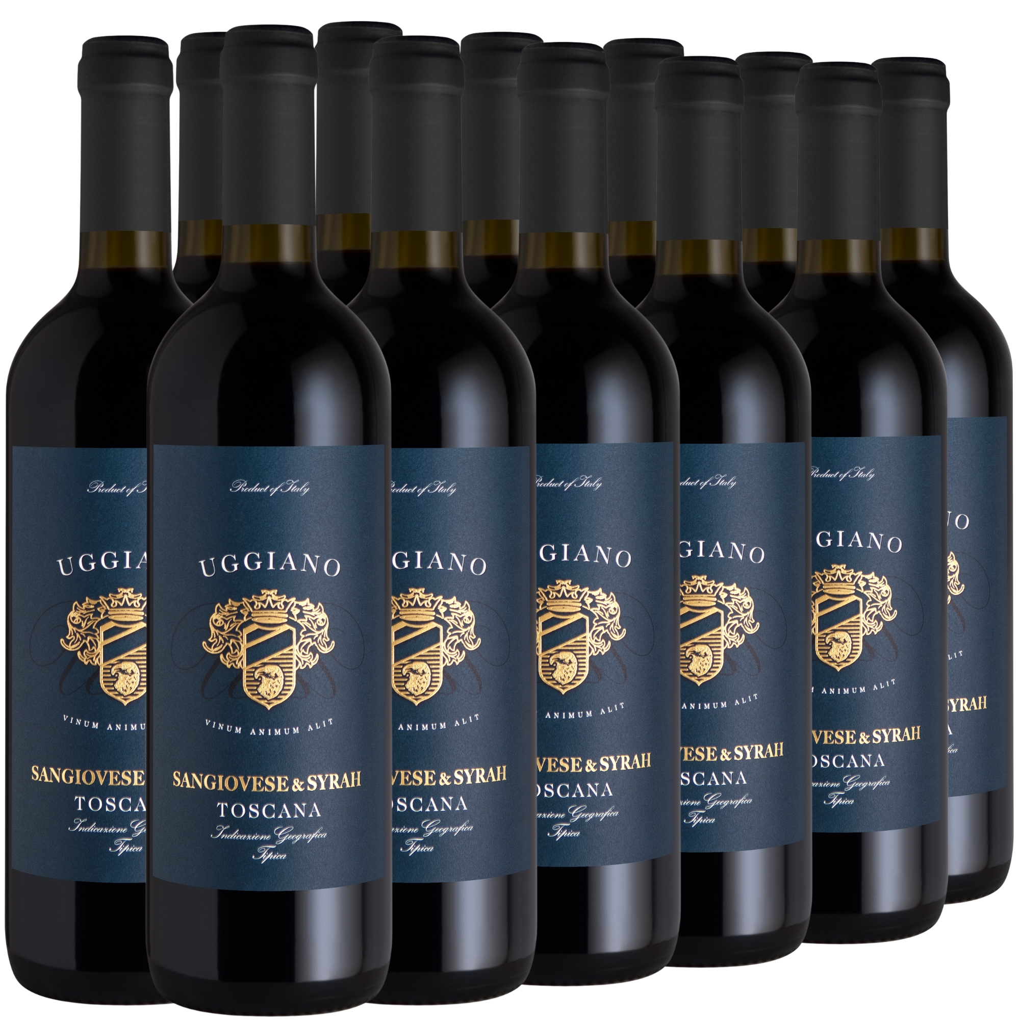 Zwölf Flaschen des Rotweins Uggiano Sangiovese & Syrah Toscana in drei Reihen angeordnet.