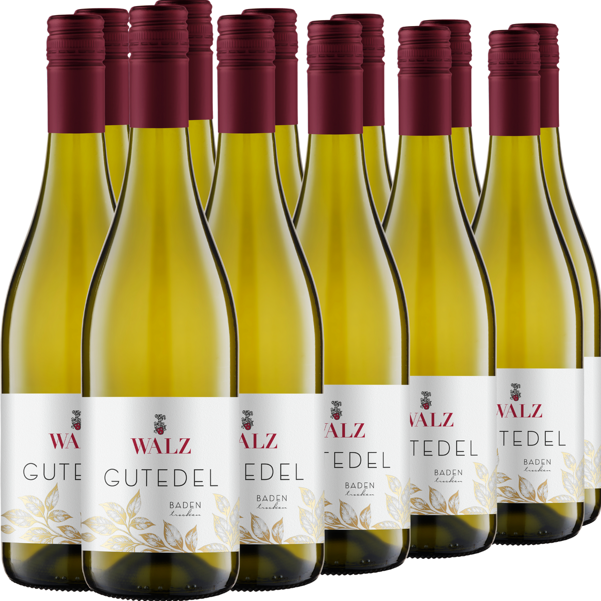 Zwölf Flaschen Walz Gutedel-Weißwein mit Schraubverschluss sind in drei Reihen vor einem weißen Hintergrund angeordnet.
