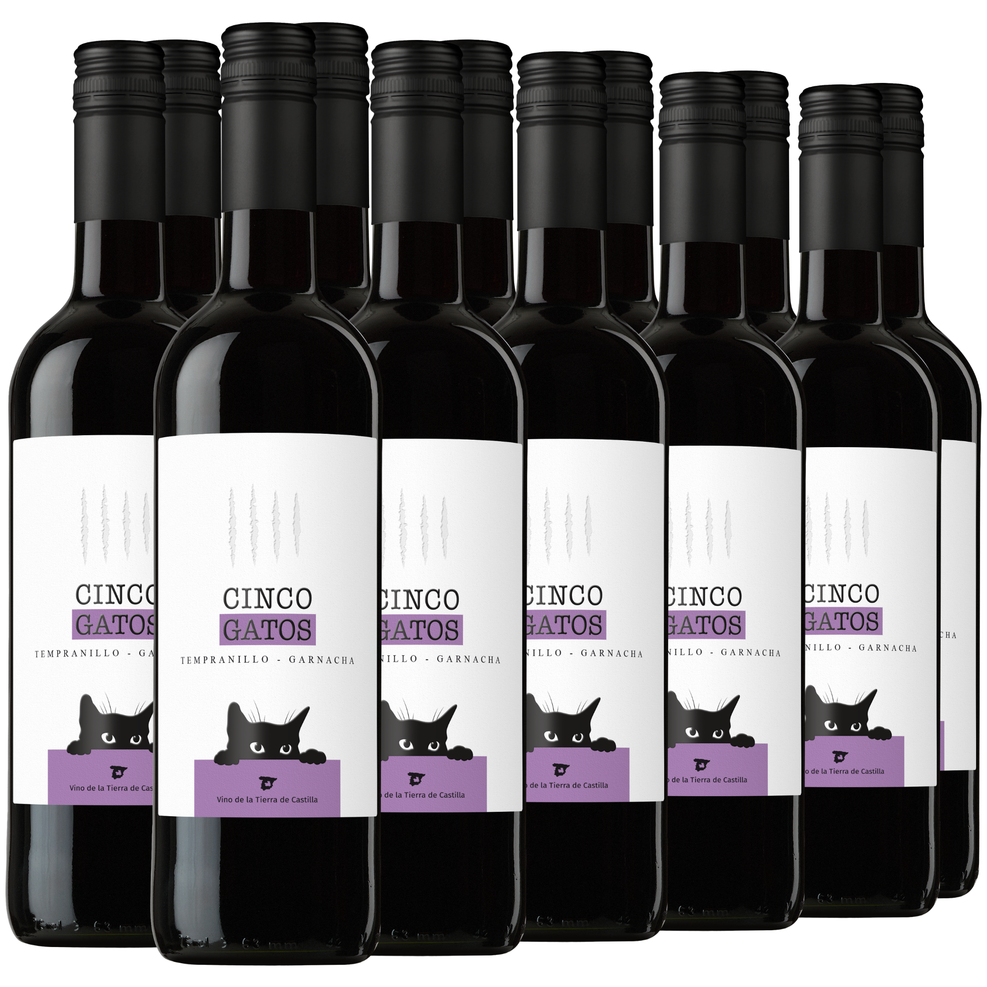 Zwölf Flaschen „Cinco Gatos“-Rotwein stehen in einer Reihe, deren weiße Etiketten mit Abbildungen schwarzer Katzen und violetten Akzenten verziert sind.