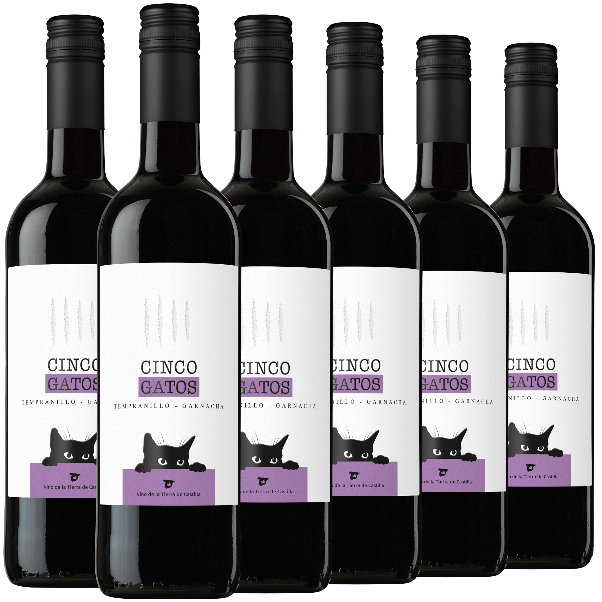 Sechs Flaschen „Cinco Gatos“-Rotwein stehen in einer Reihe, jede mit einem weißen Etikett, auf dem fünf Katzensilhouetten und violette Akzente zu sehen sind.