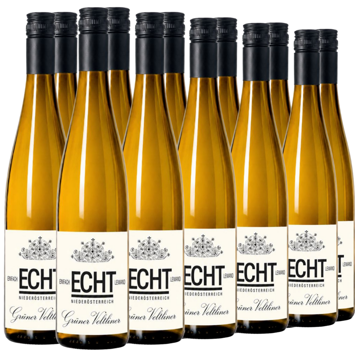 Zwölf Flaschen ECHT Grüner Veltliner Weißwein sind in drei Reihen vor einem weißen Hintergrund angeordnet.
