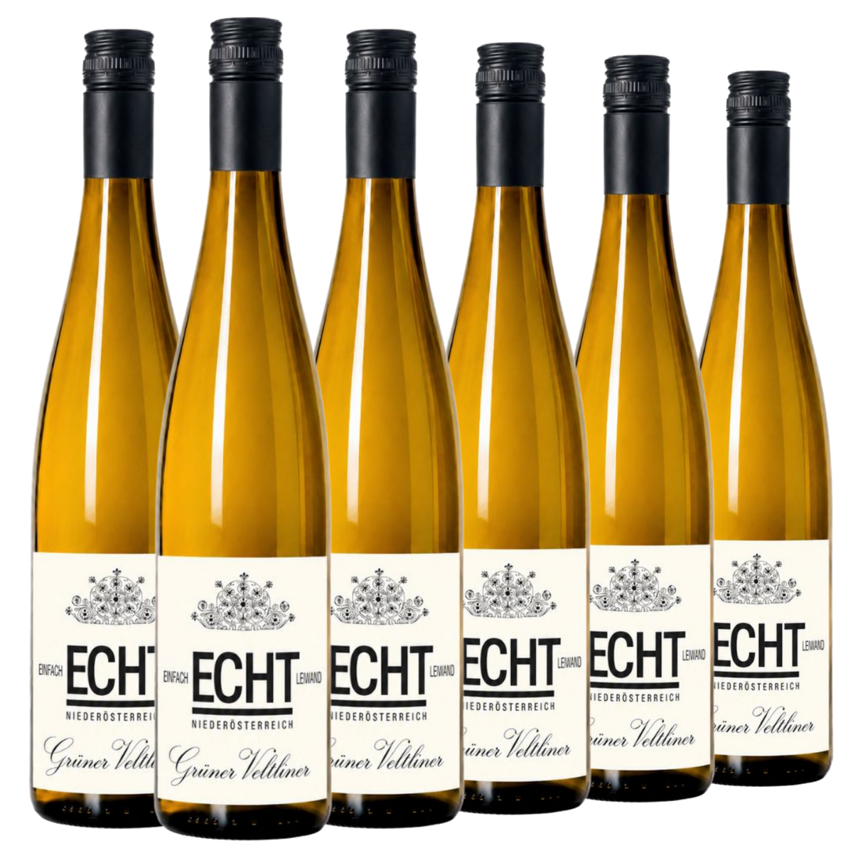 Sechs Flaschen ECHT Grüner Veltliner Weißwein sind in zwei Reihen aufrecht aufgestellt, wobei die Etiketten nach vorne zeigen und vor einem weißen Hintergrund zu sehen sind.