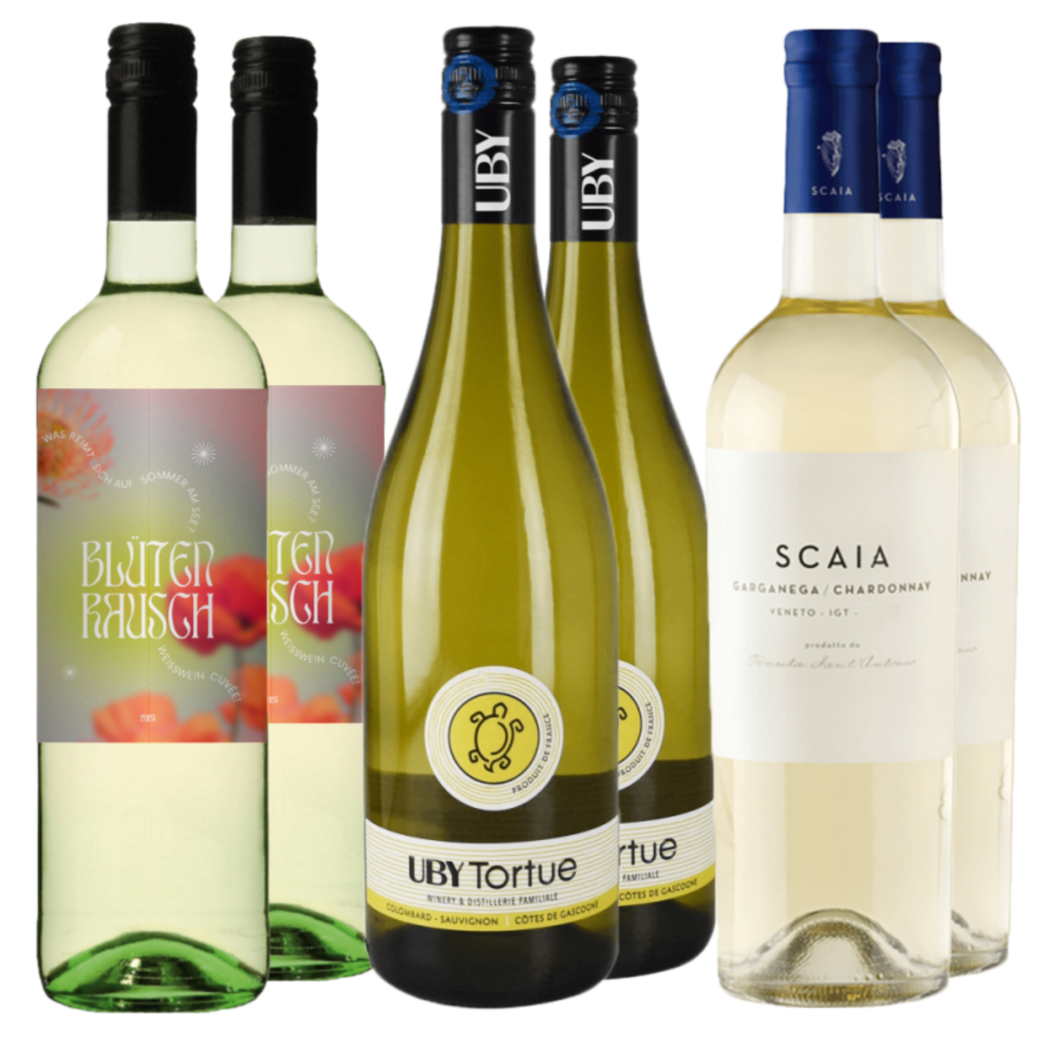 Das „Frühlingsfrische Weißweine – 6-er Paket“ besteht aus sechs nebeneinander angeordneten Weißweinflaschen mit farbenfrohen, minimalistischen Etiketten.
