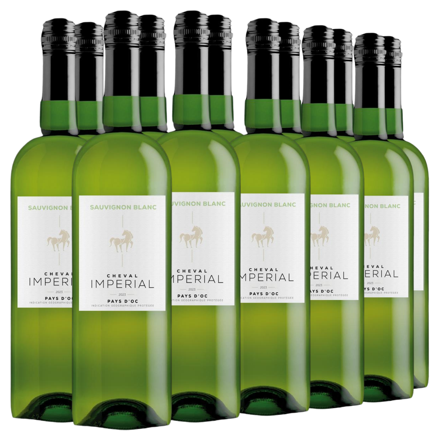 Sechs Flaschen Weißwein Sauvignon Blanc IGP Jahrgang 2023, in zwei Reihen vor schwarzem Hintergrund angeordnet.