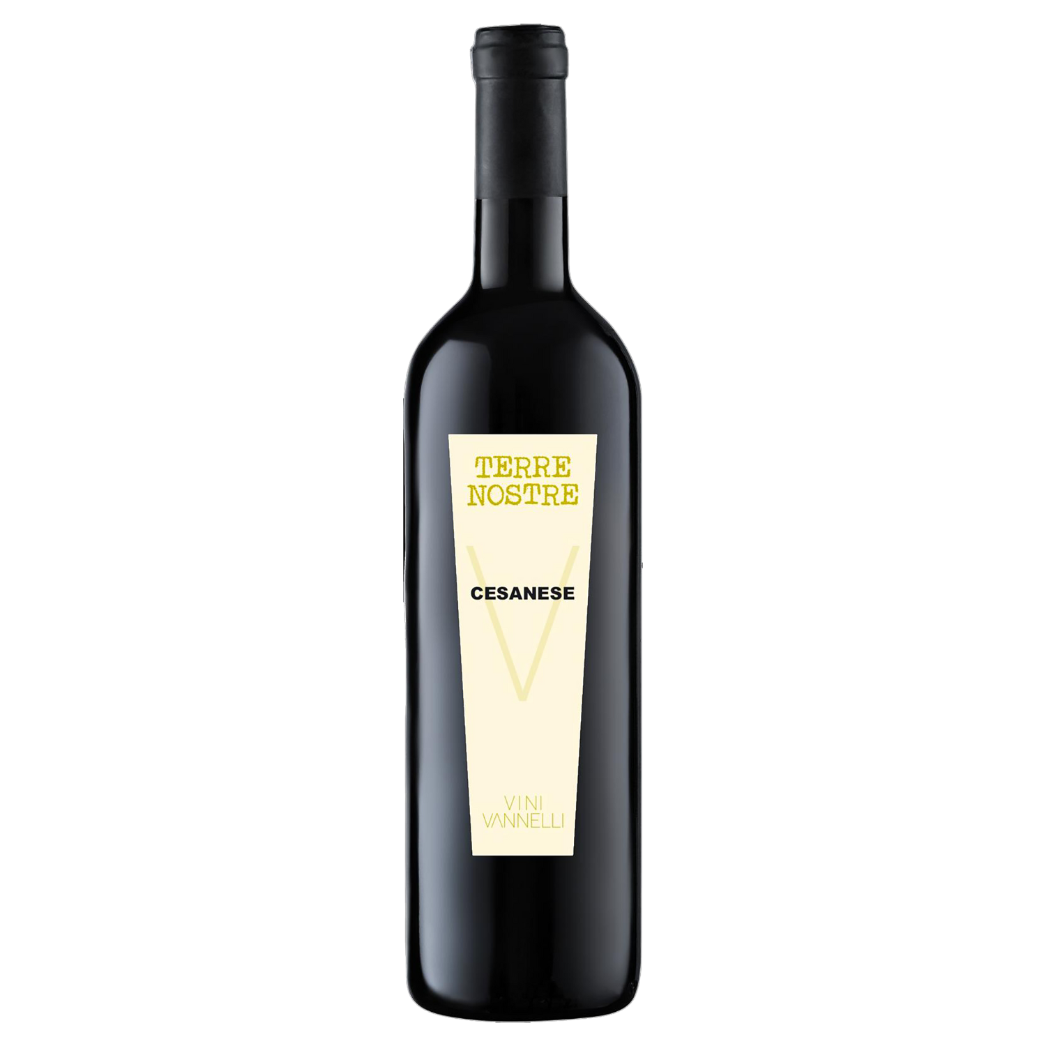 Vor einem weißen Hintergrund ist eine Flasche Cesanese-Wein „Terre Nostre“ aus dem Jahr 2021 zu sehen.