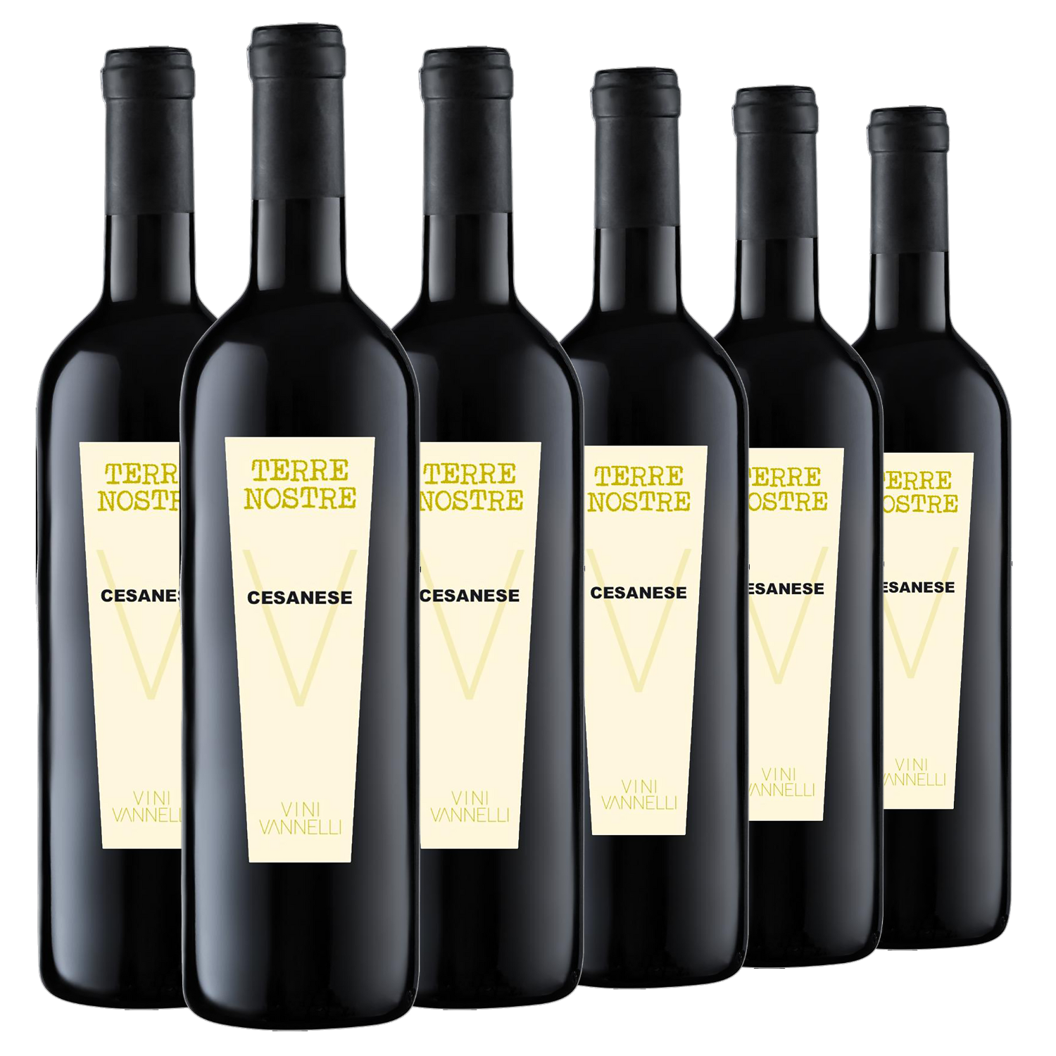Sechs Flaschen Rotwein Cesanese „Terre Nostre“ 2021 werden in einer Reihe vor einem weißen Hintergrund präsentiert.