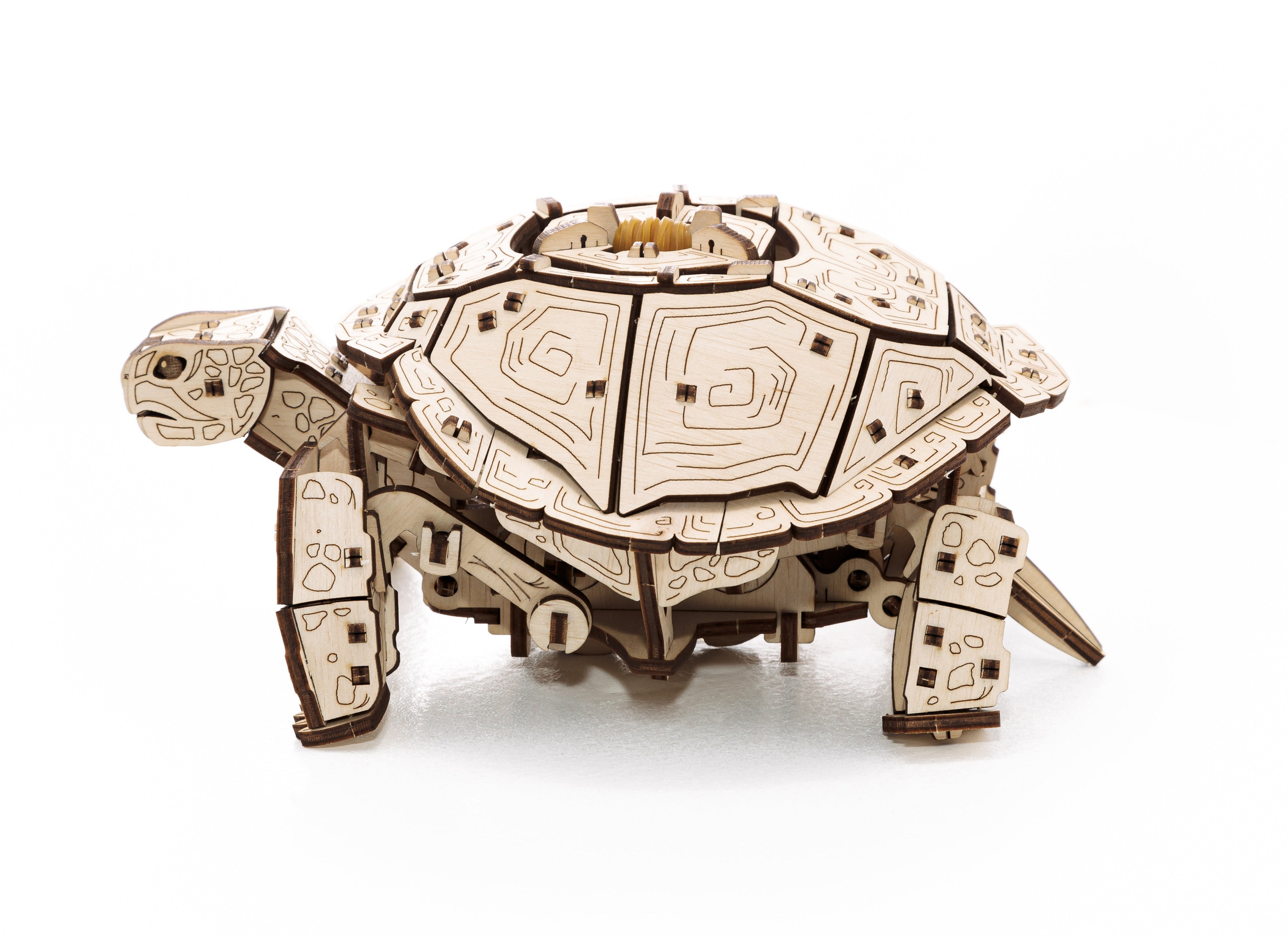 Mechanisches Holzmodell einer Schildkröte mit komplizierten, lasergeschnittenen Mustern vor weißem Hintergrund.