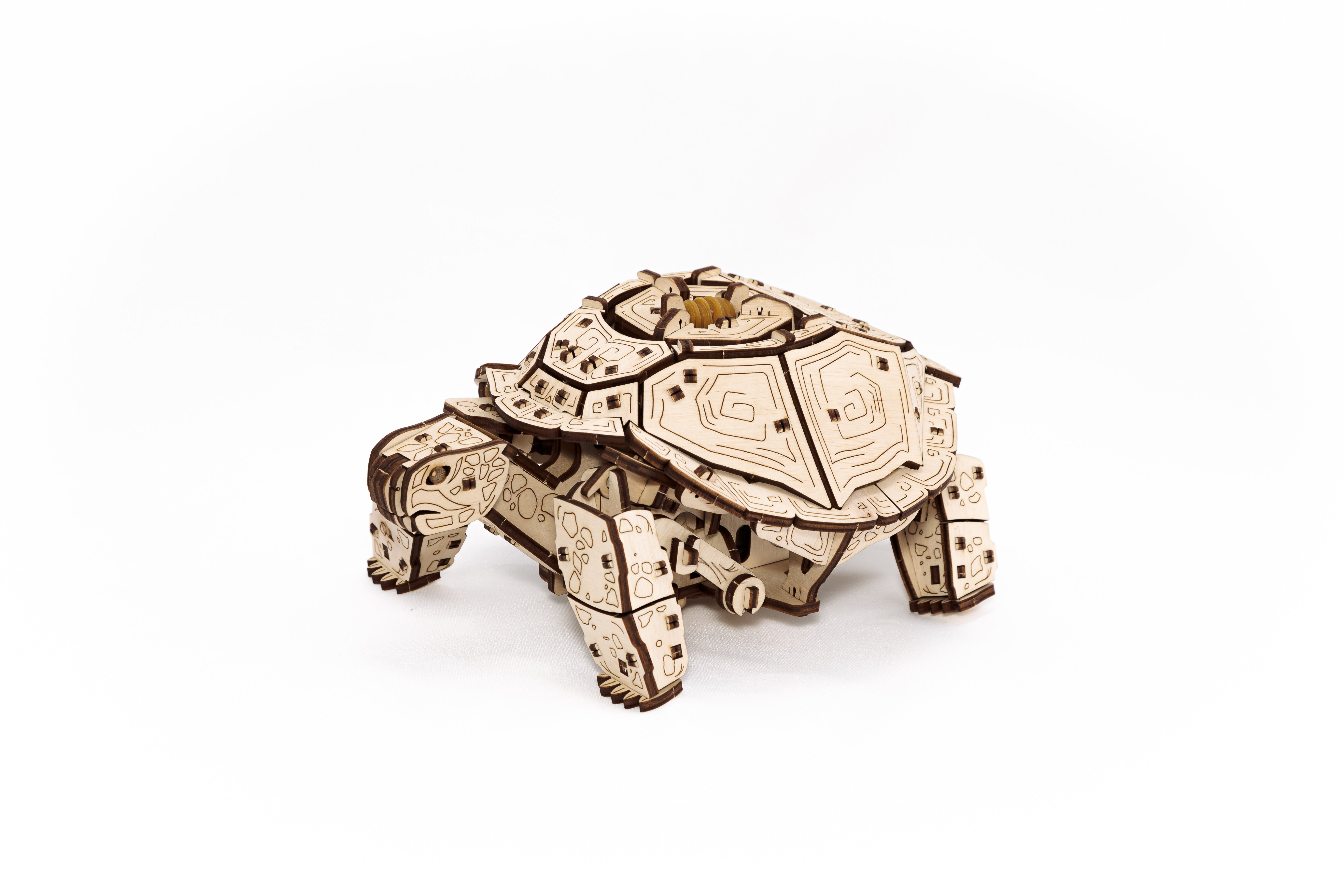 Mechanisches Schildkrötenmodell aus Holz mit Zahnrädern, zusammengebaut und auf weißem Hintergrund stehend.