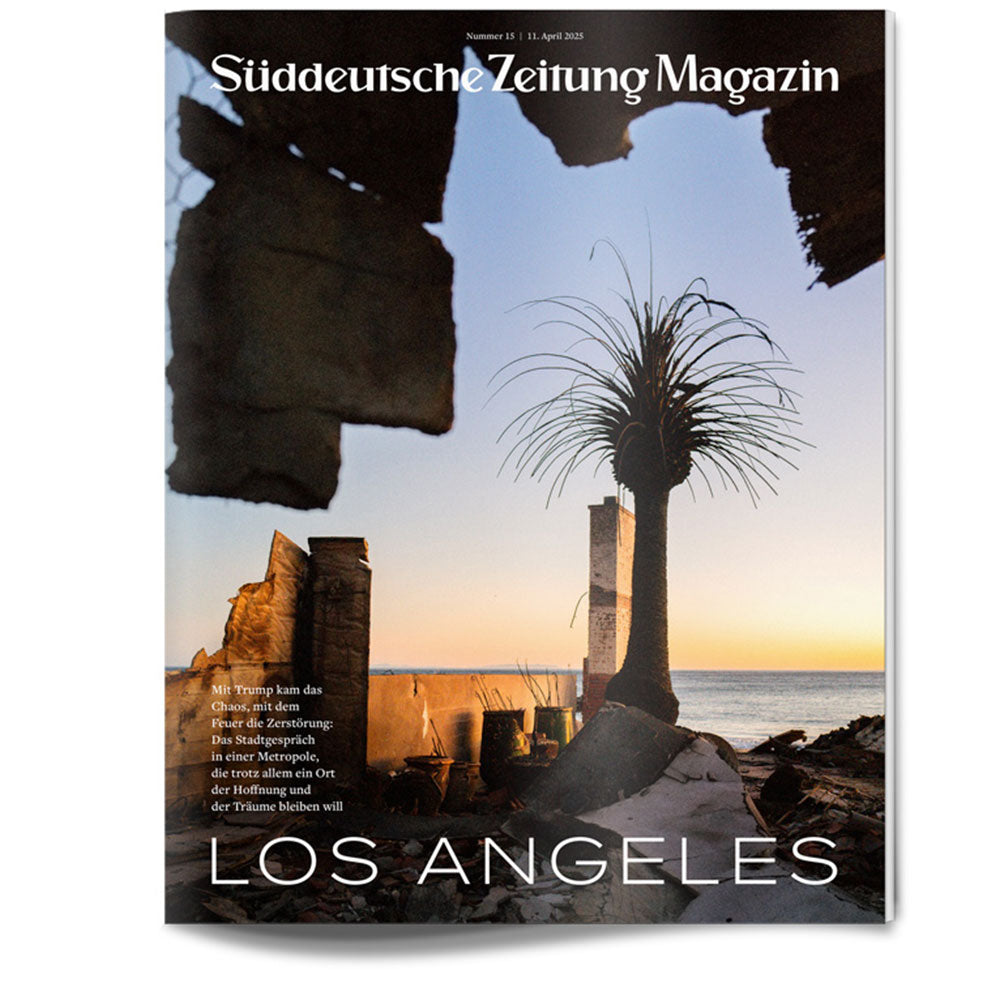 Silhouette eines zerstörten Gebäudes und einer Palme bei Sonnenuntergang am Meer, mit dem Text LOS ANGELES auf der Titelseite.