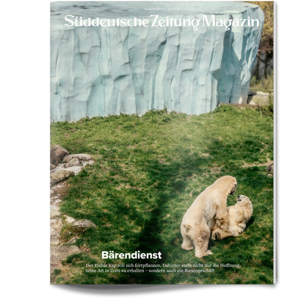 Zwei Eisbären interagieren auf grünem Gras in einem Zoogehege mit einem felsigen, eisigen Hintergrund.