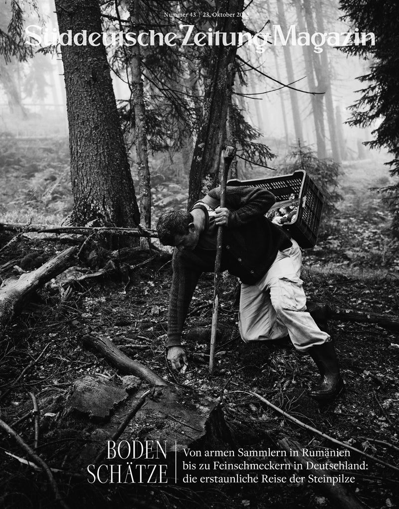 Eine Person sucht in einem nebligen Wald nach Pilzen und trägt dabei einen Korb auf dem Rücken.