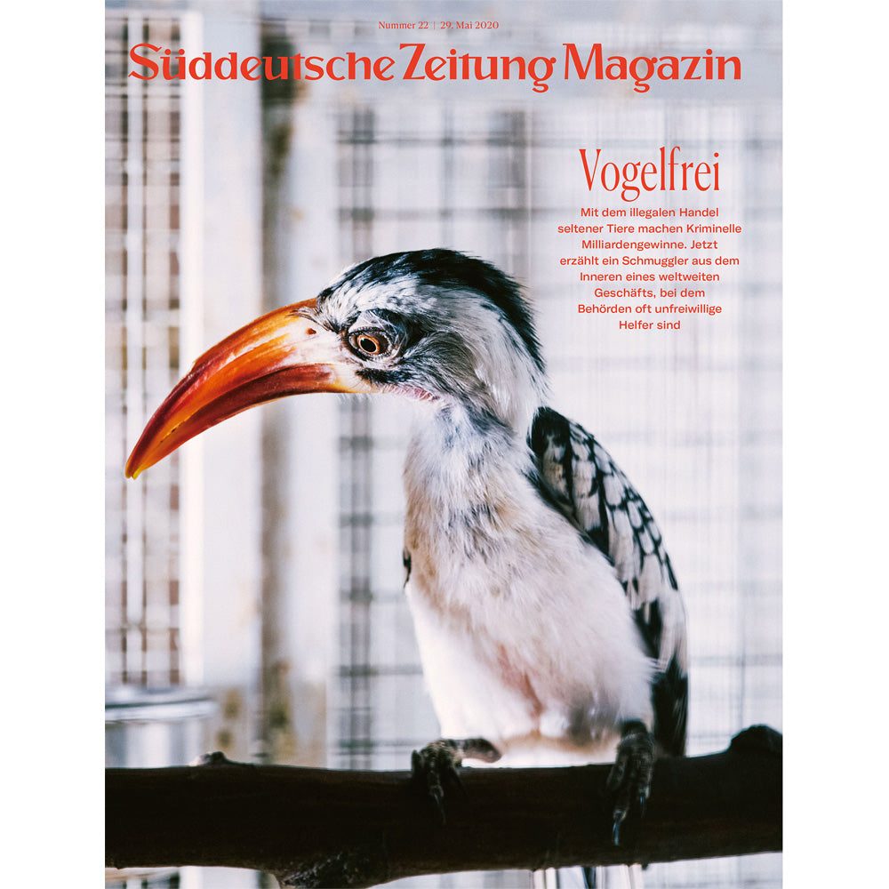 Ein Nashornvogel mit einem großen orangefarbenen Schnabel sitzt auf einem Ast vor einem weißen Hintergrund, darüber der Text des Titelbildes.