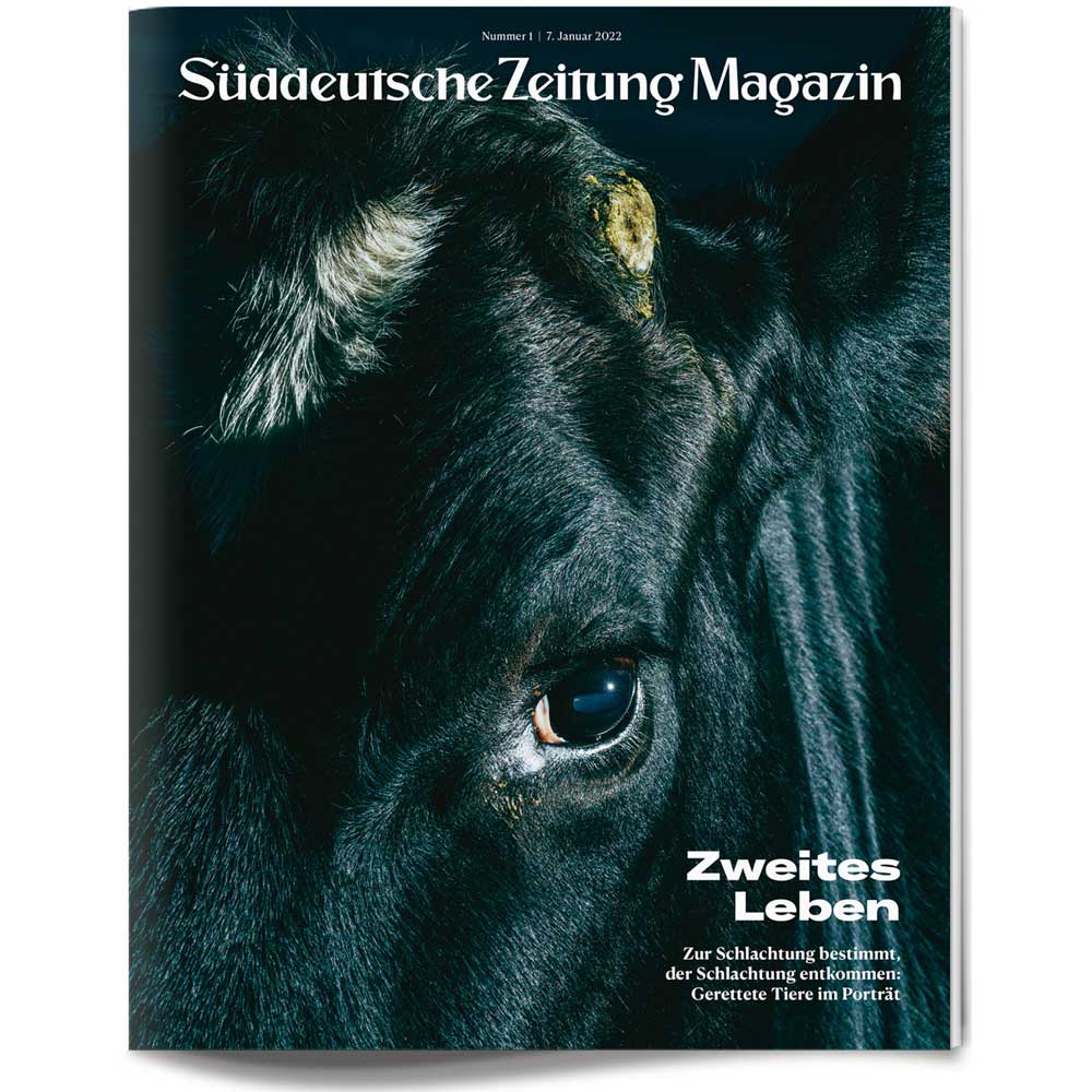Nahaufnahme eines schwarzen Kuhgesichts mit dem Logo des Süddeutsche Zeitung Magazins und deutschem Umschlagtext.