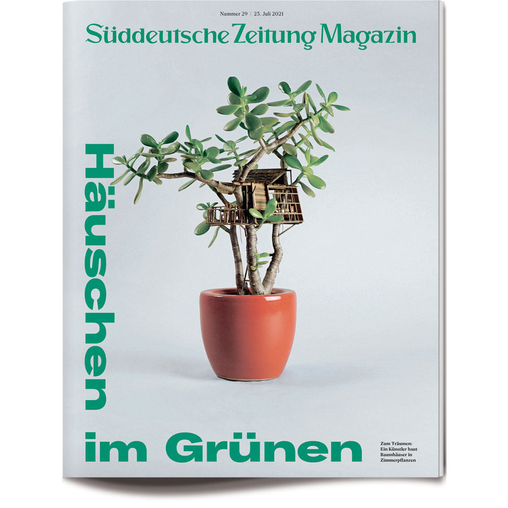 Eine Jade-Topfpflanze mit einem Miniatur-Baumhaus aus Holz in ihren Zweigen auf einem Zeitschriftencover.