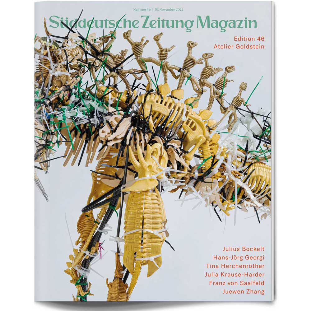 Titelseite des Süddeutsche Zeitung Magazins mit einer abstrakten Skulptur aus Skeletten und bunten Stöcken.