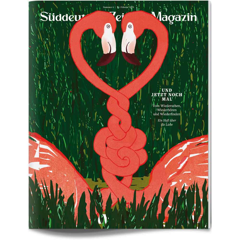 Zwei Flamingos bilden mit ihren Hälsen eine Herzform vor einem grünen Hintergrund auf einer Zeitschriftenhülle.