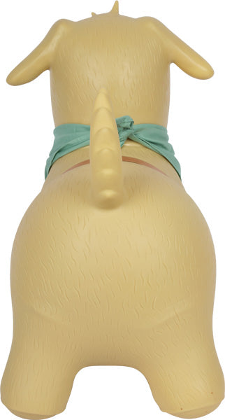 Gelber Hund von hinten gesehen, mit einem hellblauen Halstuch um den Hals.