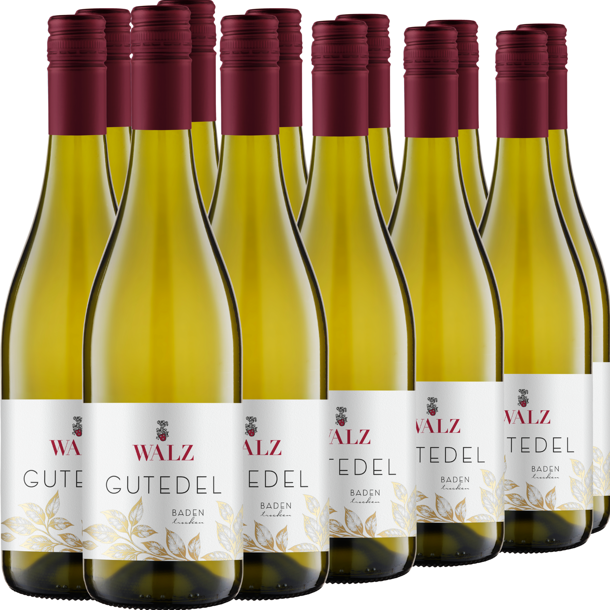 Zwölf Flaschen Walz Gutedel-Weißwein mit Schraubverschluss sind in drei Reihen vor einem weißen Hintergrund angeordnet.