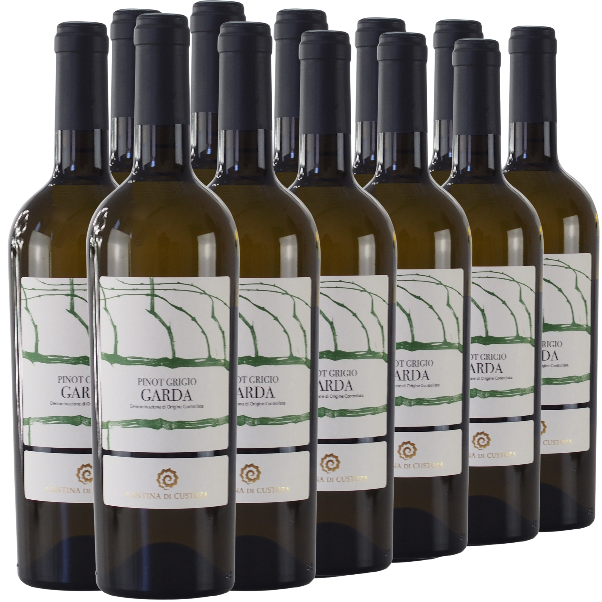 Zwölf Flaschen Garda Pinot Grigio sind in Reihen auf weißem Hintergrund angeordnet.
