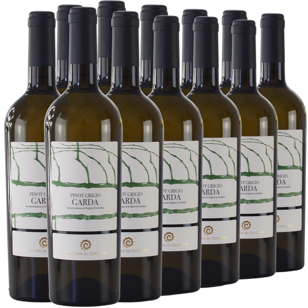 Zwölf Flaschen Garda Pinot Grigio sind in Reihen auf weißem Hintergrund angeordnet.