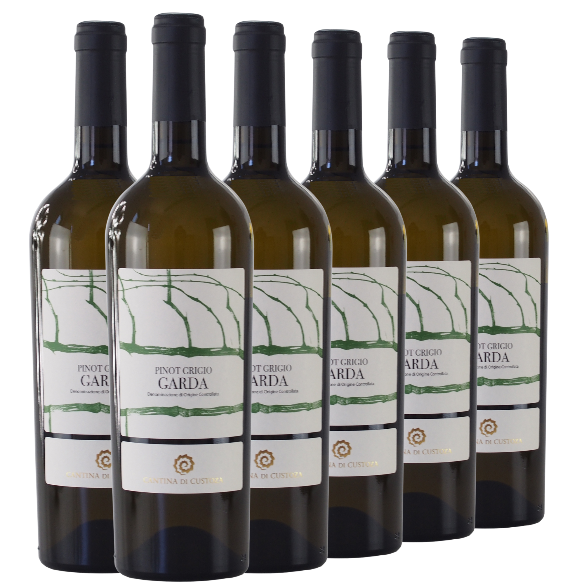 Sechs Flaschen Pinot Grigio Garda Wein in einer Reihe auf weißem Hintergrund.