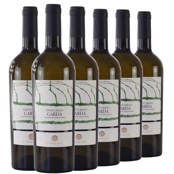 Sechs Flaschen Pinot Grigio Garda Wein in einer Reihe auf weißem Hintergrund.