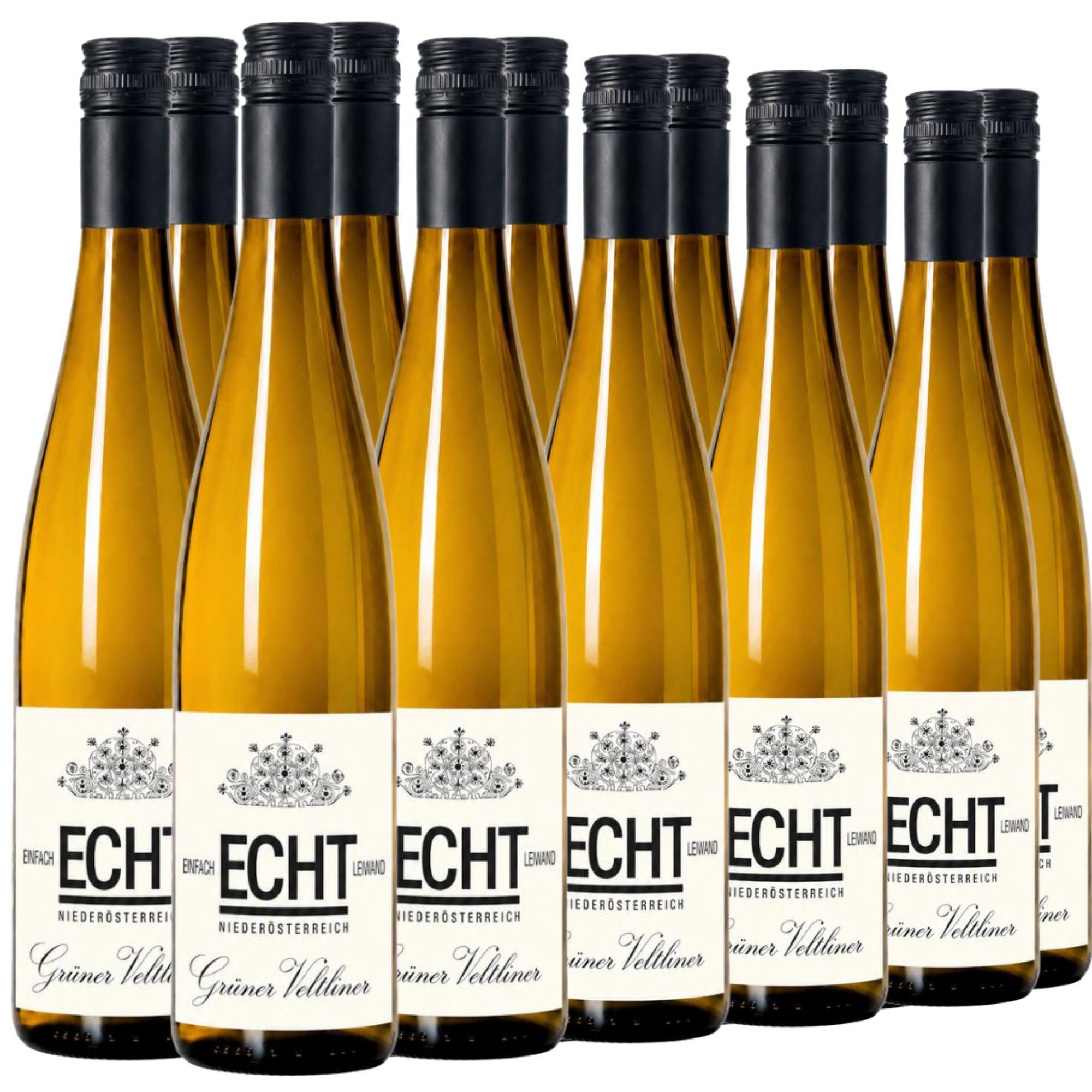 Zwölf Flaschen ECHT Grüner Veltliner Weißwein sind in drei Reihen vor einem weißen Hintergrund angeordnet.