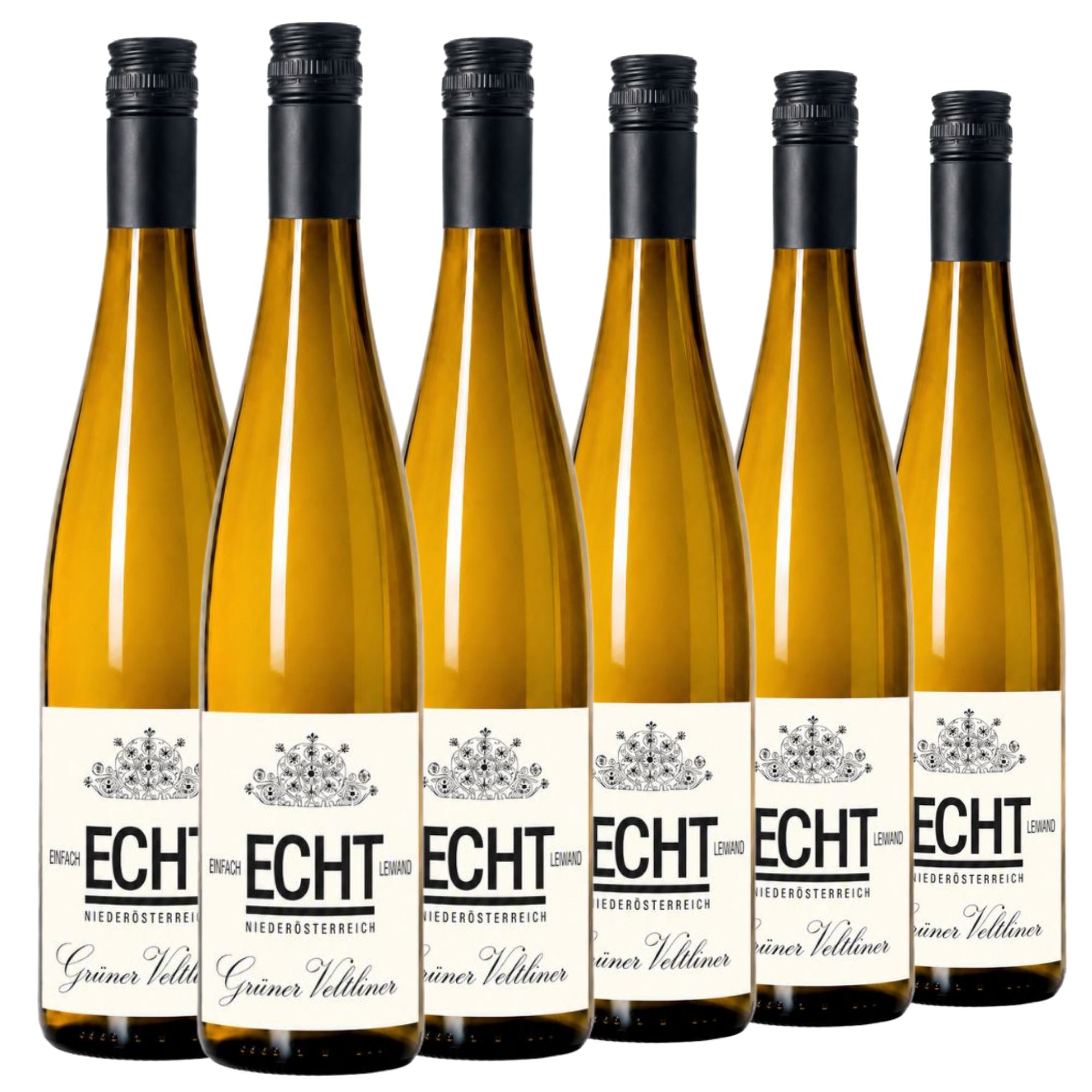 Sechs Flaschen ECHT Grüner Veltliner Weißwein sind in zwei Reihen aufrecht aufgestellt, wobei die Etiketten nach vorne zeigen und vor einem weißen Hintergrund zu sehen sind.