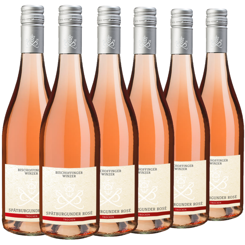 Sechs Flaschen Bischofinger Winzer Spätburgunder Rosé mit silbernen Schraubverschlüssen in einer Reihe vor weißem Hintergrund.