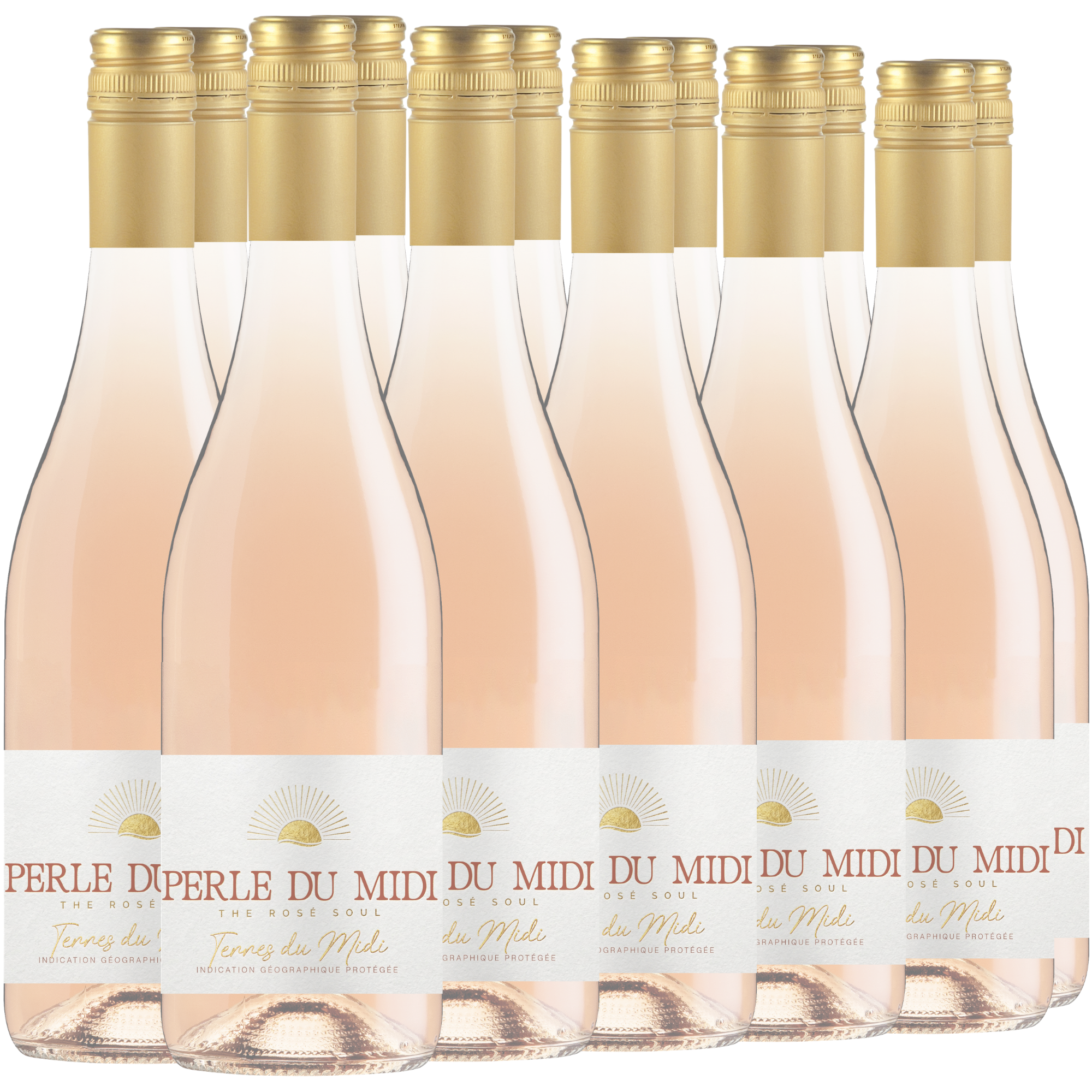 Zwölf Flaschen des Roséweins Perle du Midi sind in zwei Reihen angeordnet. Das klare Glas zeigt die zartrosa Flüssigkeit, die weißen Etiketten sind mit goldenen Akzenten versehen.