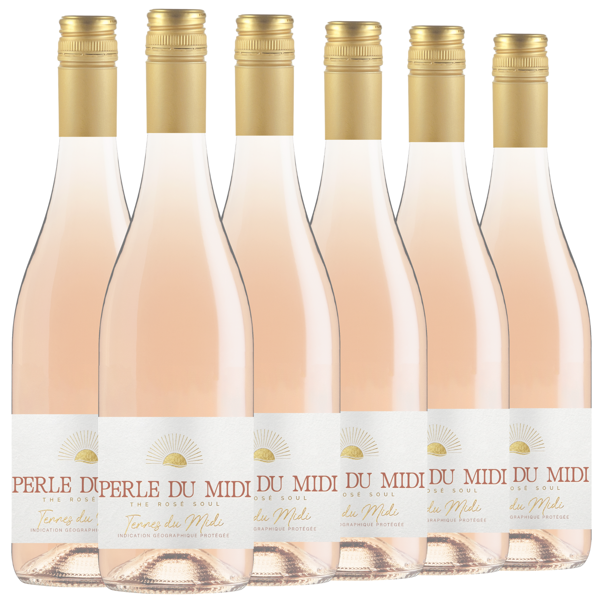 Sechs Flaschen des Roséweins Perle du Midi mit goldenen Verschlüssen und weißen Etiketten, die in einer Reihe vor einem schlichten Hintergrund angeordnet sind.