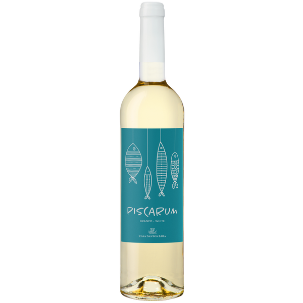 Eine Flasche Weißwein mit einem blaugrünen Etikett mit einfachen Fischdarstellungen und dem Text PISCARUM und BRANCO - WHITE.