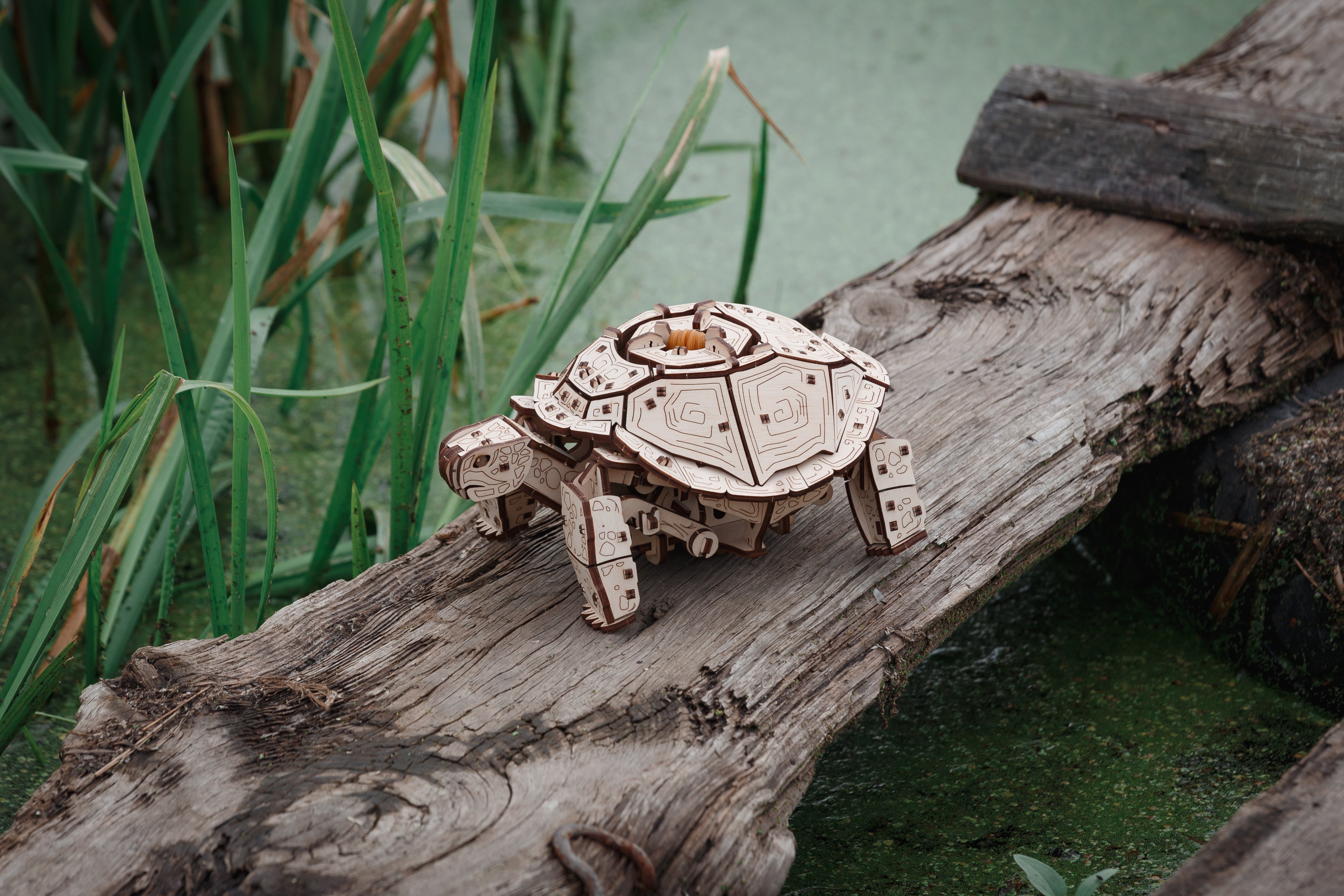 Ein hölzernes Schildkrötenmodell sitzt auf einem verwitterten Baumstamm in der Nähe von grünem Wasser und Schilf.
