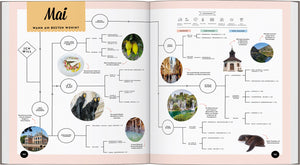 LONELY PLANET Bildband Wann am besten wohin Europa - Bild 7