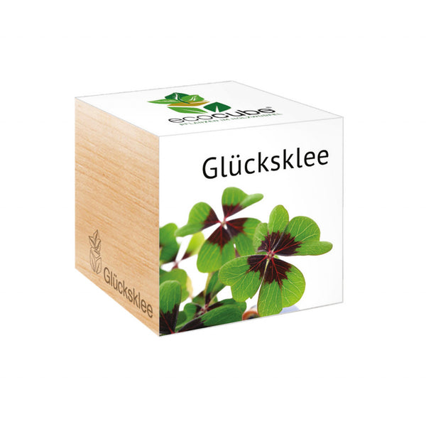 Ecocube - Glücksklee - Bild 1