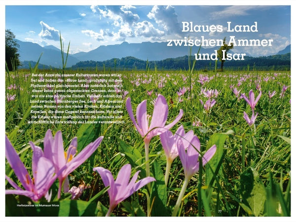 Unterwegs im Blauen Land - Bild 8