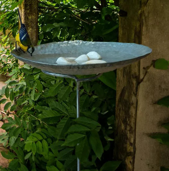 Ein Gartenstecker/Vogelbad mit Meise zeigt einen kleinen Vogel, der aus einem flachen Vogelbad trinkt, akzentuiert durch dekorative Steine und grünes Laub.