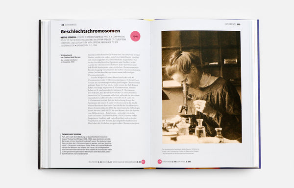 Eine kurze Geschichte der Wissenschaft - Bild 3