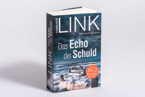 Das Echo der Schuld - Bild 2