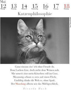 Der literarische Katzenkalender 2025 - Bild 2