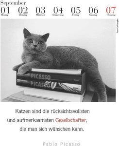 Der literarische Katzenkalender 2025 - Bild 3