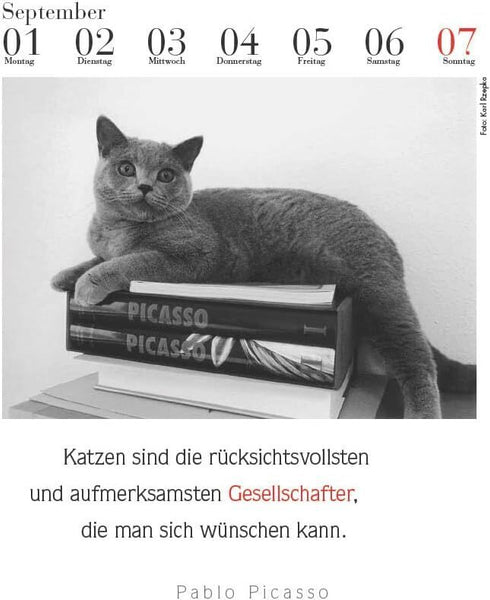 Der literarische Katzenkalender 2025 - Bild 3