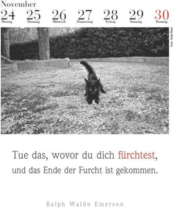 Der literarische Katzenkalender 2025 - Bild 4