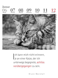 Der literarische Katzenkalender 2025 - Bild 5