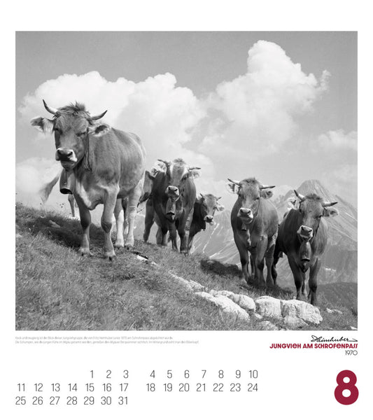 Alpengeschichten Kalender 2025 - Bild 9