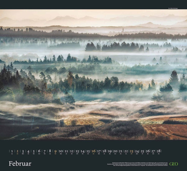 GEO - Sehnsucht Wald Wandkalender 2025 - Eindrucksvoller Waldlandschaften Kalender, Harmonisches Format 60x55 cm, mit Faszinierenden Wald- und Naturbildern - Bild 3