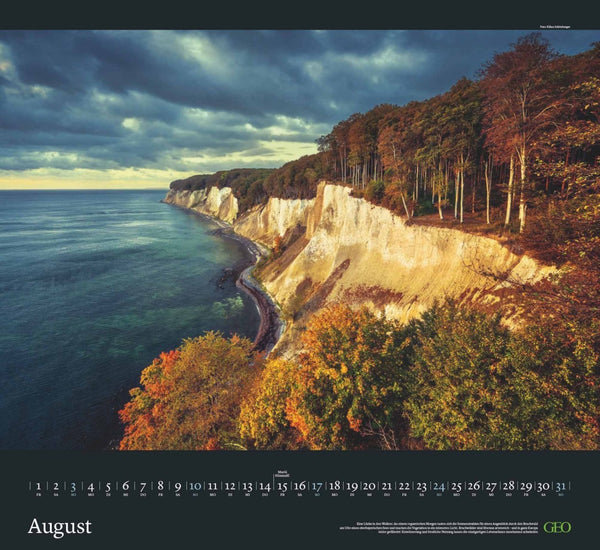 GEO - Sehnsucht Wald Wandkalender 2025 - Eindrucksvoller Waldlandschaften Kalender, Harmonisches Format 60x55 cm, mit Faszinierenden Wald- und Naturbildern - Bild 9