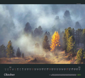 GEO - Sehnsucht Wald Wandkalender 2025 - Eindrucksvoller Waldlandschaften Kalender, Harmonisches Format 60x55 cm, mit Faszinierenden Wald- und Naturbildern - Bild 11